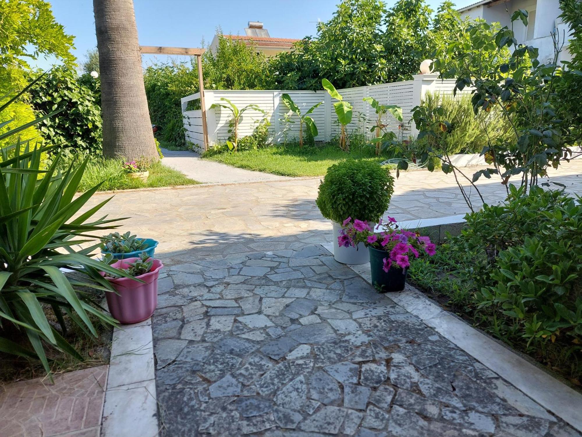 Hotel apartamentowy Amelia's Garden Kávos