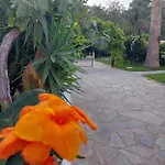 Amelia\'S Garden