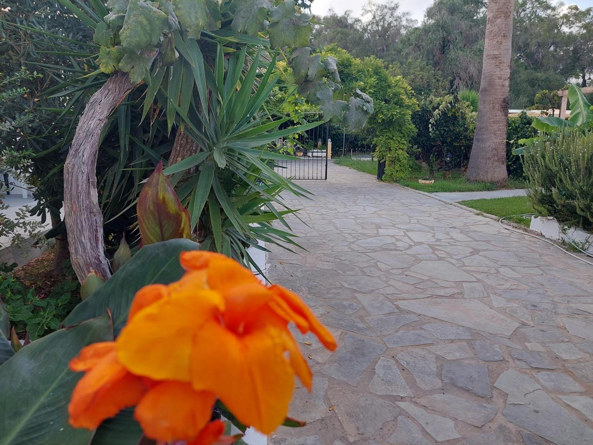 Amelia's Garden Aparthotel